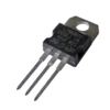 7808